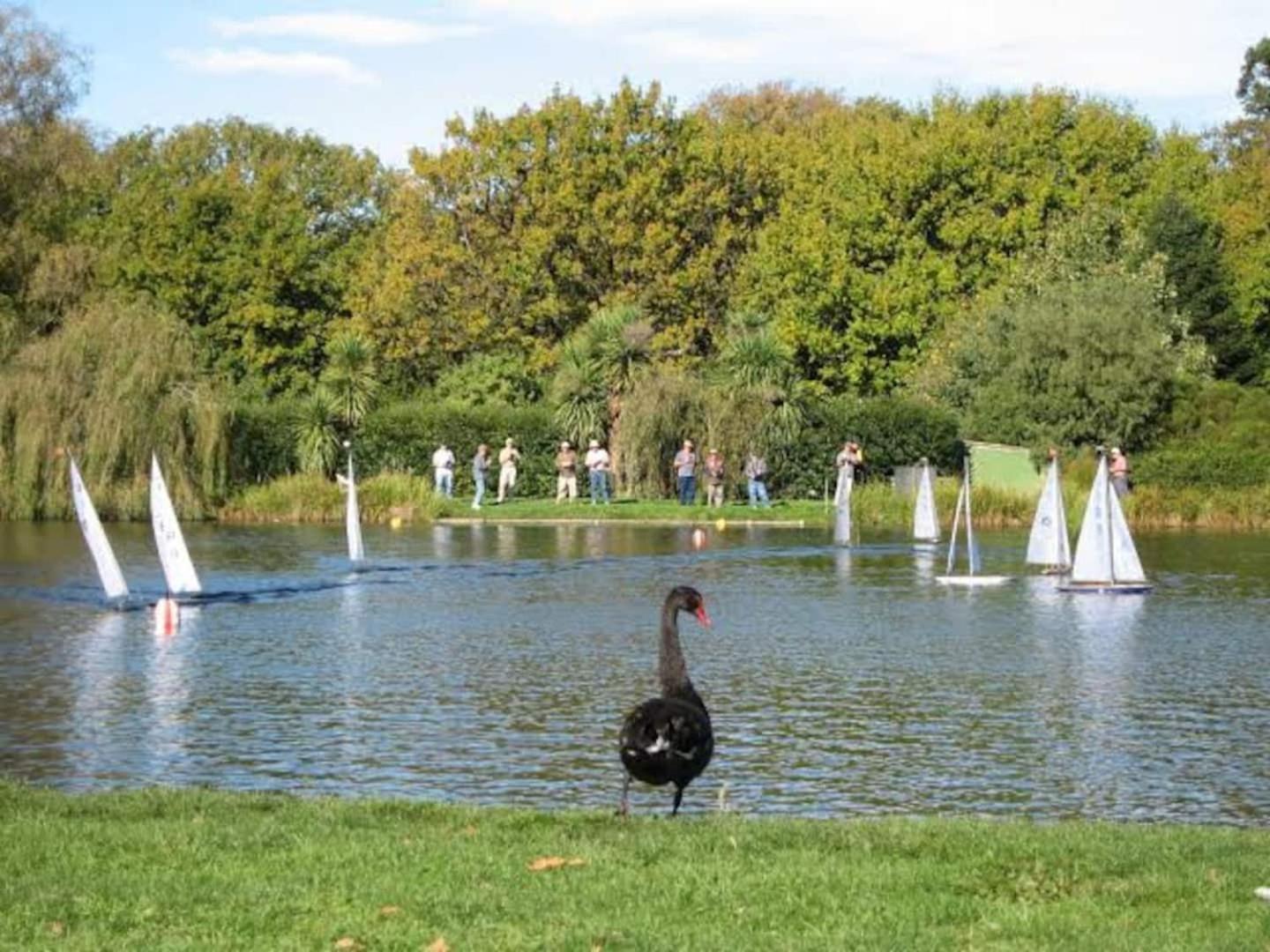 Hagley Park Hidden Gem Daire Christchurch Dış mekan fotoğraf