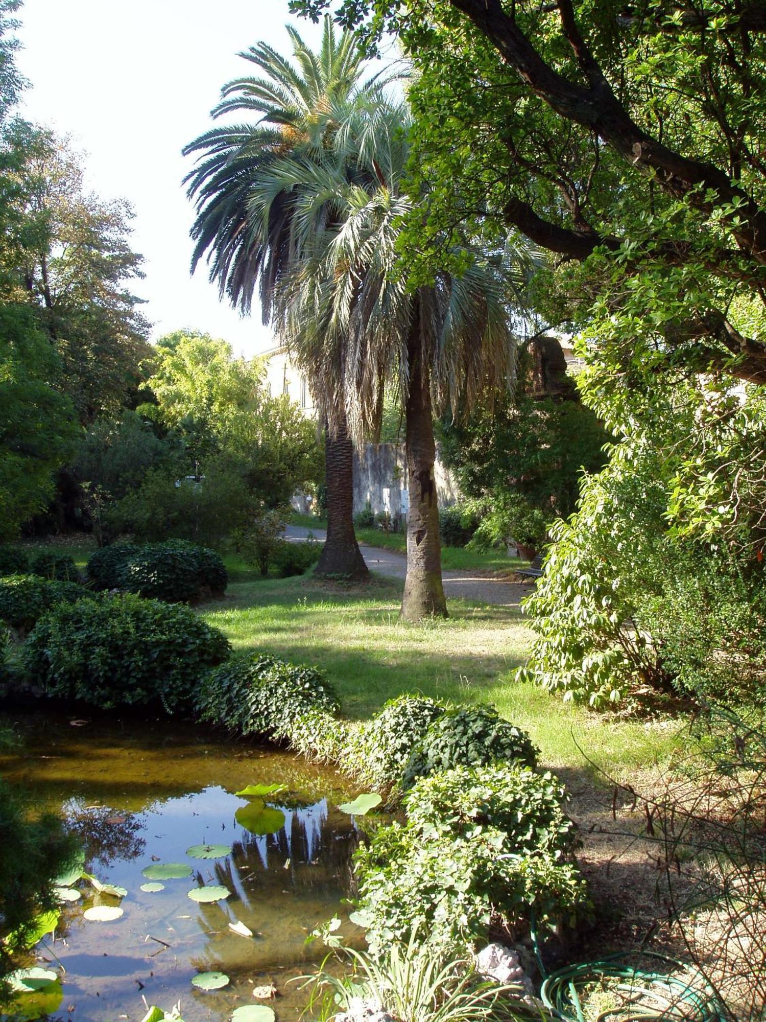 Hagley Park Hidden Gem Daire Christchurch Dış mekan fotoğraf